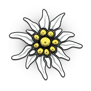 Edelweiss PNG-66298